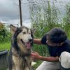 user_4442727