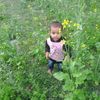mdaryan5846