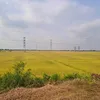 t.ln0121