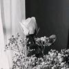flowerslittlebit7