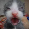 _terrorcx