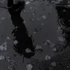 so_xv_56