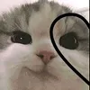 77_emi_