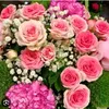 user68846739271662