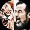 yosef75298