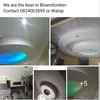 hloniceilings7
