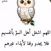 user3170611925770