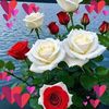 user531987901721