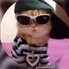 azul_joseffina
