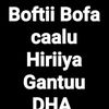 user62627037392668