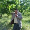 ferd.djamel7