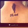 idrees9645