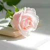 aynaz8642