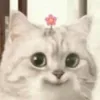 livia_lma07