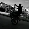 rasha_m41