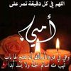 amel.alknany