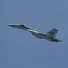 hornet.mp4