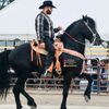 El Señor de los Caballos