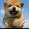 user134033279