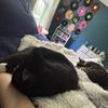 cara_s128