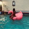 fabi_012013