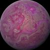 tr1ppykitty616