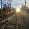 timelessnyc08