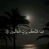 ahmedhmed1334