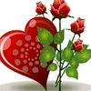 user84905701088808