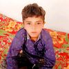 ali.ameen277