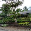 davakusuma03