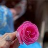 luluqueen959