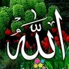 mdmunna7447