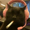 gera_73_
