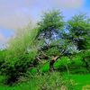 abdakerim.charaf