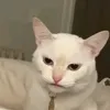 meh_mah6