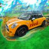 Orange Mini Cooper Lover