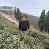 meghnathbashyal83