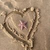 user8833219910209