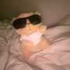 _malcol.m