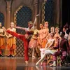 percorsi.di.danza
