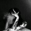 bby_cho_0