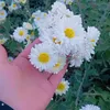 mali.xamakan