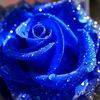 user50116718658634