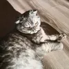 masha.mym