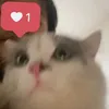linh.thuy985