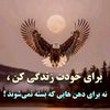 user52274610146867