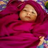 mdnijhumhassan861