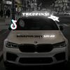 treppins_edit