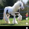 lafandenamra